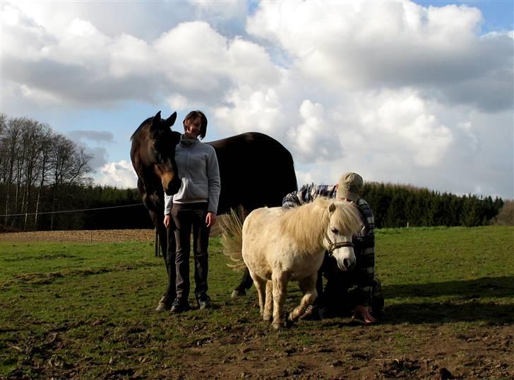 Dansk Varmblod *Kildegårdens Barton* sov stil ind den 19.dec 2011 - hehe mig og barton more os over far og golliat  billede 18
