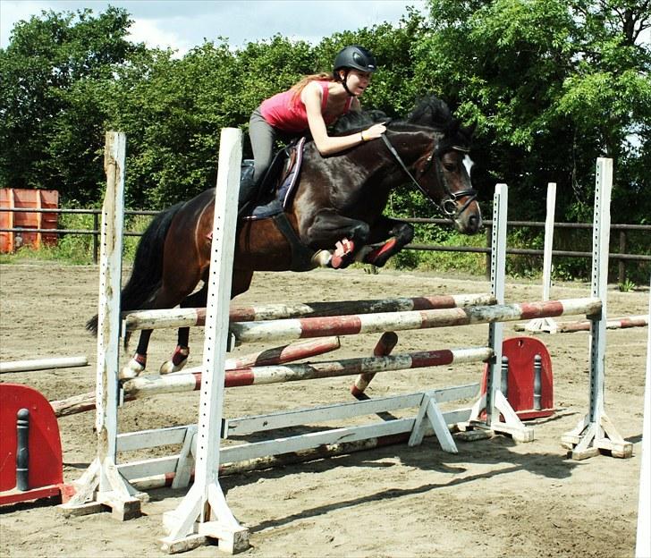 New Forest Troldmosens Bijou, B-PONY - Springtræning juli 2010 (: billede 13