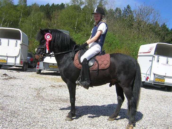 Anden særlig race skovslands Asterix - Asterix&Annemette the winner team:´) billede 11