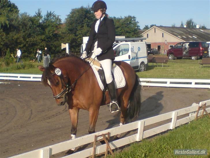 Anden særlig race . Patrick'<3 billede 1