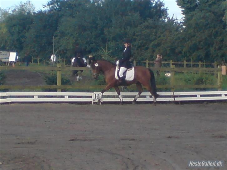 Anden særlig race . Patrick'<3 billede 2