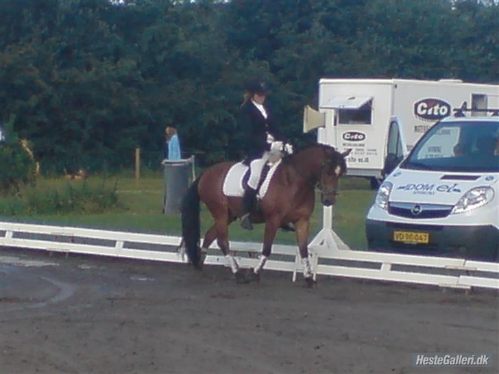 Anden særlig race . Patrick'<3 billede 3