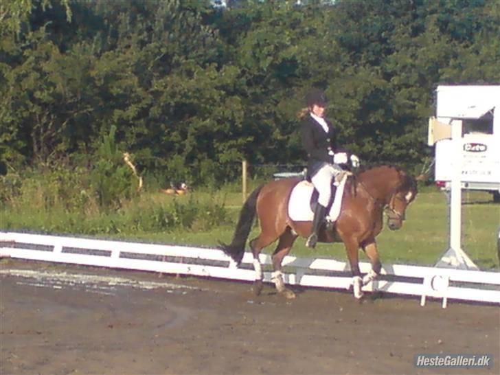 Anden særlig race . Patrick'<3 billede 4