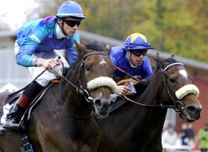 Fuldblod (XX) Call Girl xx - call girl til højre i en opløbs situation mod guantanamo billede 4