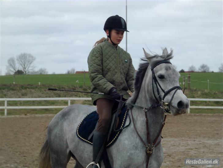 Anden særlig race Con Amor - Opvarmning på mark. billede 11