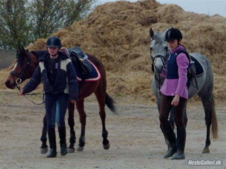 Anden særlig race Con Amor billede 12