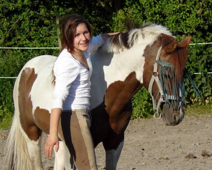 Pinto Lille Chief  - Velkommen til Hoppeboldens profil,!den sidste måned jeg havde Chief, jeg savner dig sku mit lille lyn! billede 1