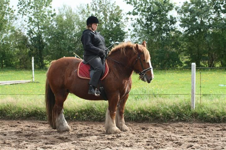 Jyde SMUKKE Sally *R.I.P.* - min mor på hendes Sally billede 1