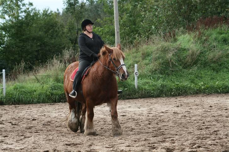 Jyde SMUKKE Sally *R.I.P.* - mor og Sally billede 5