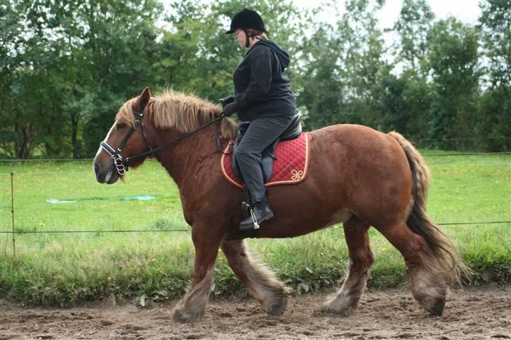 Jyde SMUKKE Sally *R.I.P.* - Sally og mor billede 6