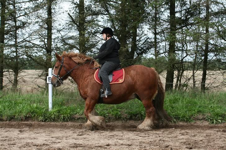 Jyde SMUKKE Sally *R.I.P.* - Sally og mor billede 7