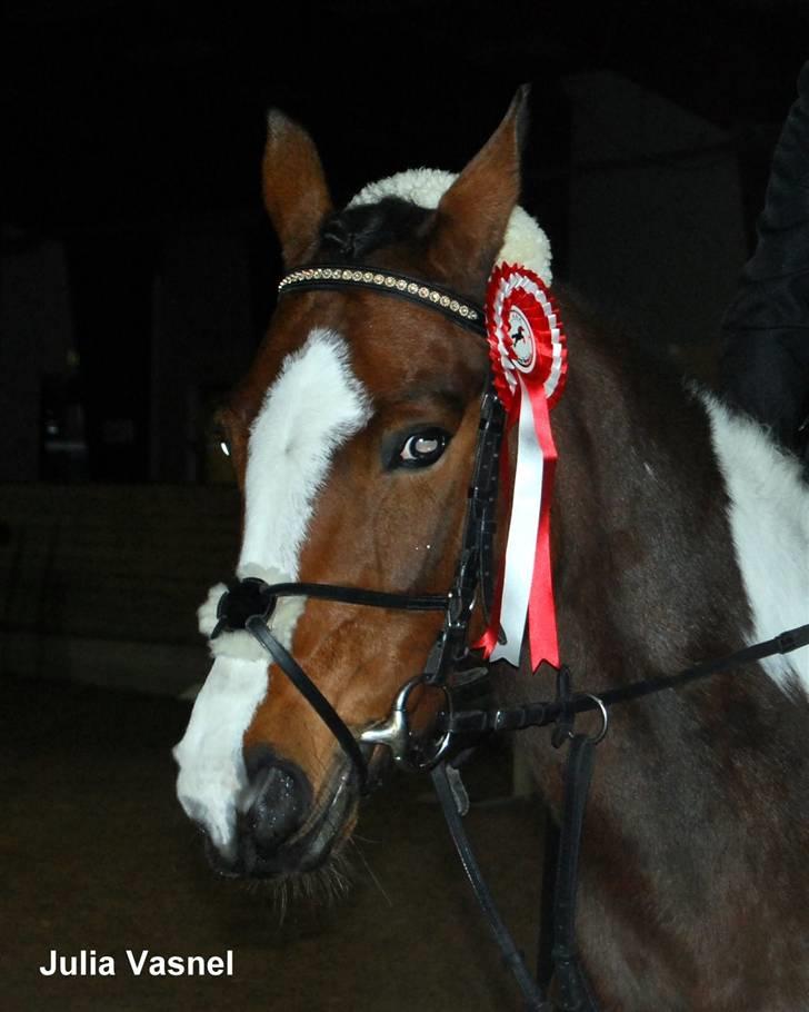 Pinto Skatholms Magic Spotlight - spot  vinder LCén  på hjemmebanen   billede 4