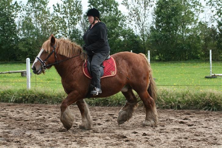 Jyde SMUKKE Sally *R.I.P.* billede 9