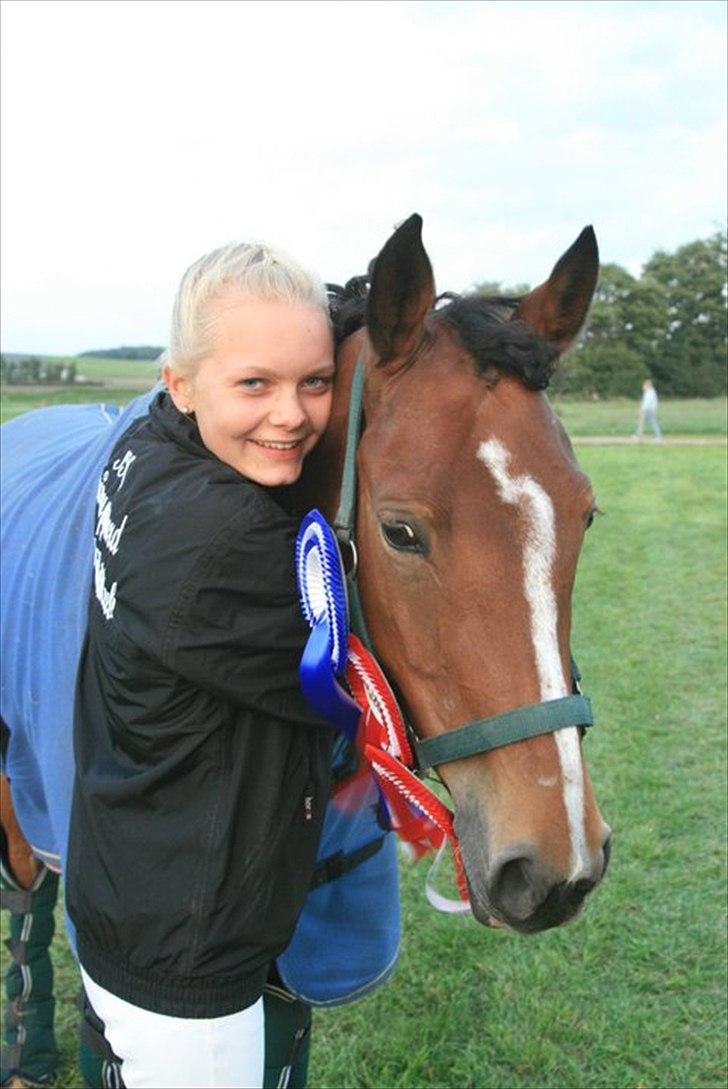 Welsh Pony af Cob-type (sec C) Kielshoop Honey Starlight - Et af de første stævner med prinsessen <3  billede 20