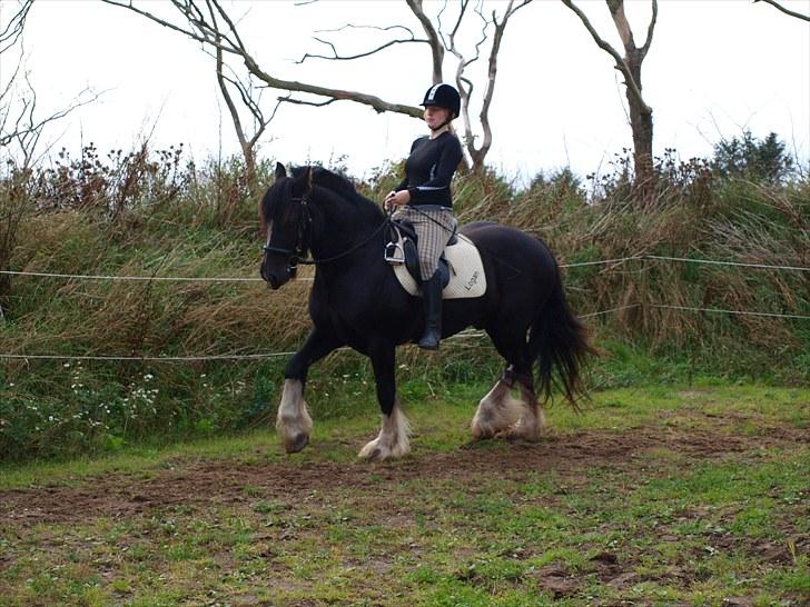 Tinker Logan  billede 14