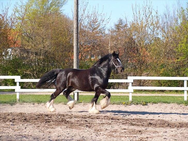 Tinker Logan  - Var der nogen der sagde høje knæløft? :D billede 17