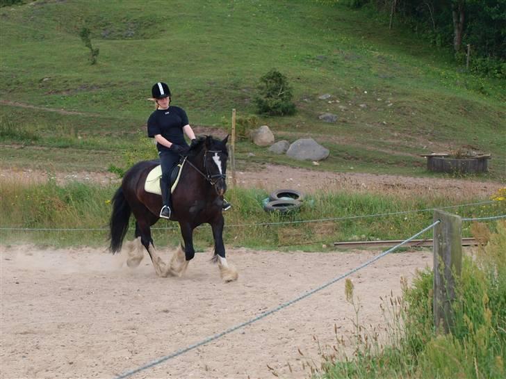 Tinker Logan  - Da jeg besøgte ham den 5/7 2009 billede 19