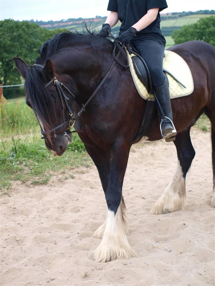 Tinker Logan  billede 20