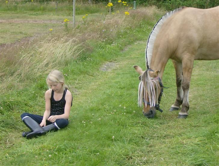 Fjordhest Tulle - Mig og Tulle hygger<3 billede 3