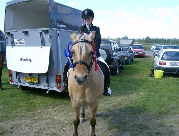 Fjordhest Tulle - Lige et blærde bildede fra SRI stævne billede 9