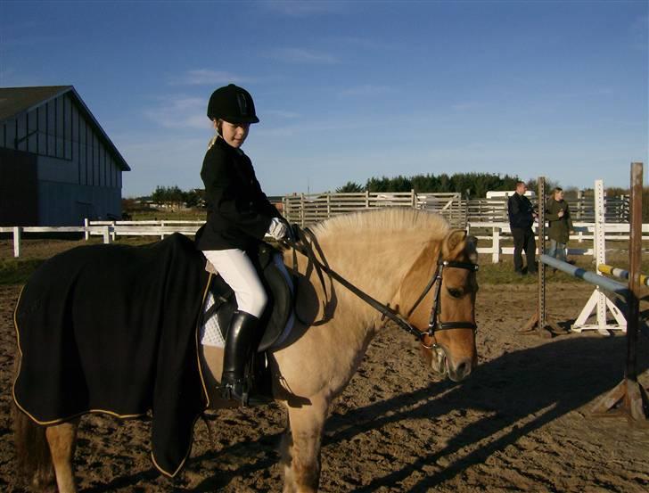 Fjordhest Tulle - stævne i hirthals<3 billede 11