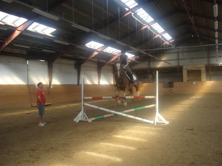 Anden særlig race The Showman - spring:b billede 15