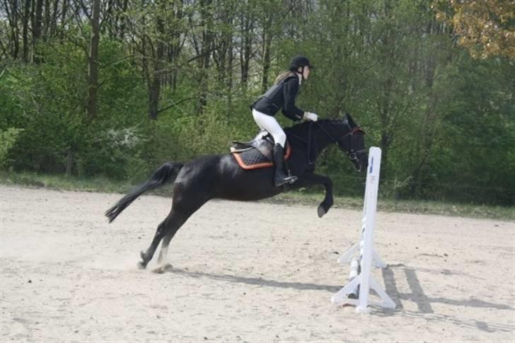 Anden særlig race Esmeralda <3 †18/11-10† - Vi kender hinanden ud og ind, og kan læse hinanden :') billede 15