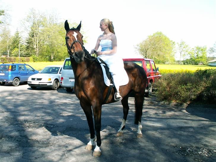 Anden særlig race Thito - mig og min dejlig hest.<3 til min konfirmation. den 4 maj 2008 billede 9