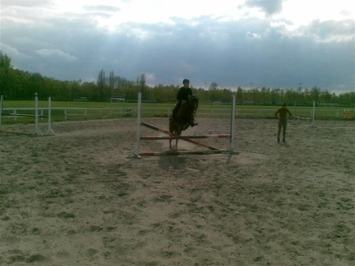 Anden særlig race Agazi (SOLGT) - Igen os der springer, heh:-) billede 18