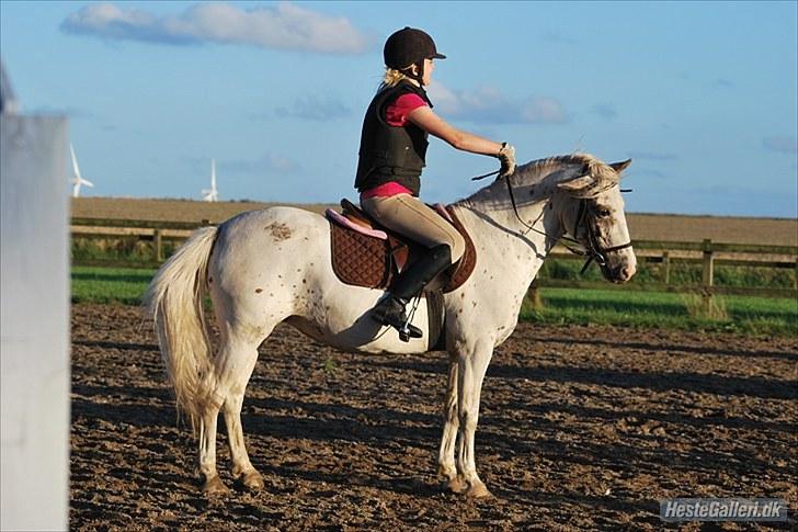 Anden særlig race Snow Girl *Min stjerne* - Vi fjoller lidt til spring :D foto: Sara Johansen:D billede 12