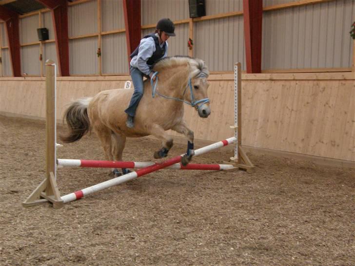 Fjordhest Thor Bindebjerg  - - 1 Januar 09. Spring uden sadel. Lille opvarmningkryds. Rejser mig pænt meget xD  billede 14