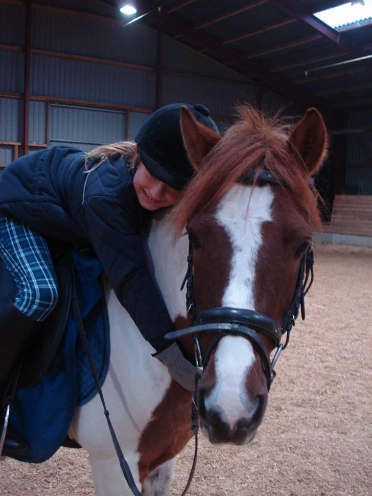 Pinto Lille Chief  - -Min lille søster (Sanja), sammen med Chief :D billede 16