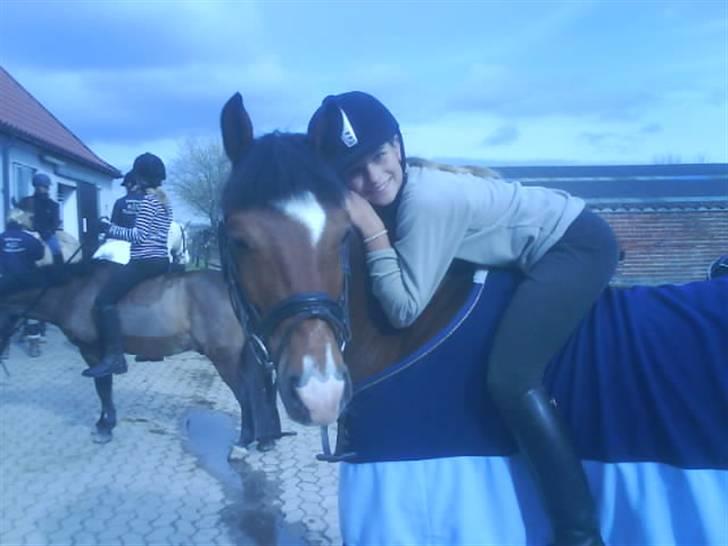 New Forest memory(gammel part) SAVN! - det var en dejlig dag:) idas yndlings billed :) billede 8