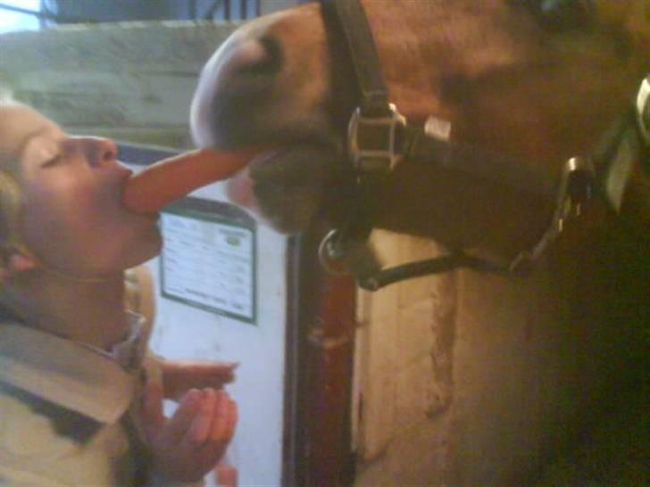 New Forest memory(gammel part) SAVN! - "skal vi dele?" billede 10