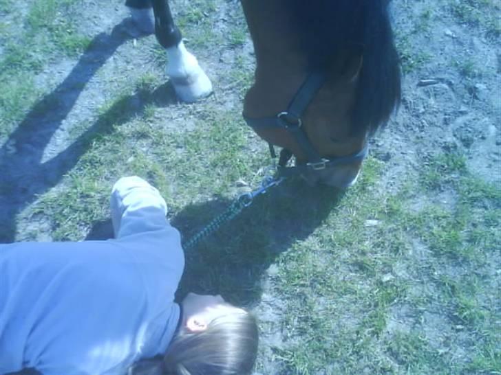 New Forest memory(gammel part) SAVN! - hej ida :) billede 14