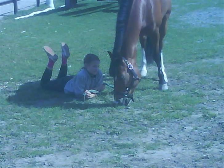 New Forest memory(gammel part) SAVN! - vi hyggede os rigtig:D billede 15