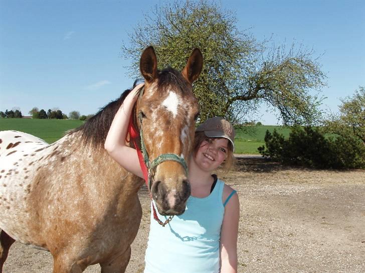 Knabstrupper Fredderikstens: Vanice  - Taqet  d.4/5 2008 :)  billede 4