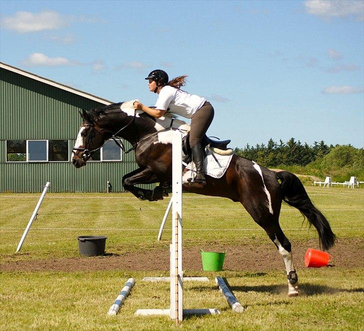 Pinto Samondo - Samondo og Maja - let træning- sommer 2010 ;D billede 14