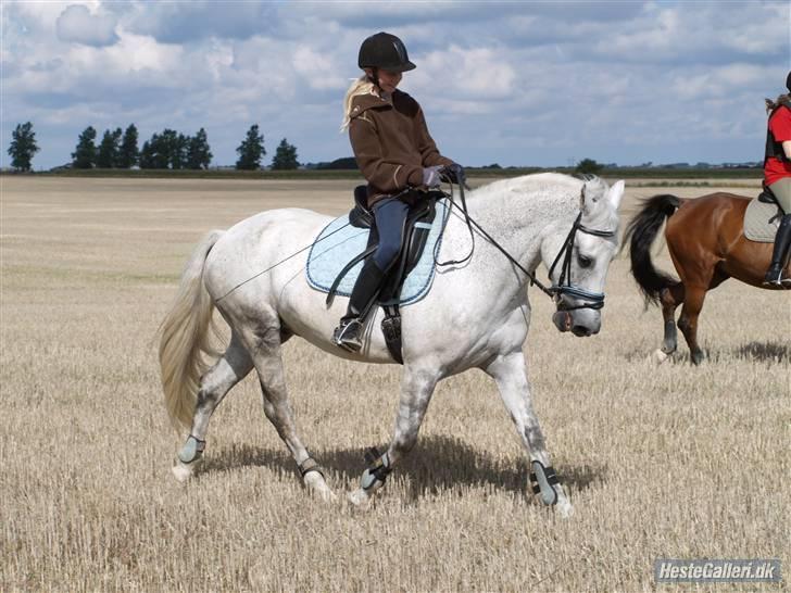 Anden særlig race Åge<33 - ude på Marken sammen med Maria og Milling :) Foto: marie ;)  billede 17