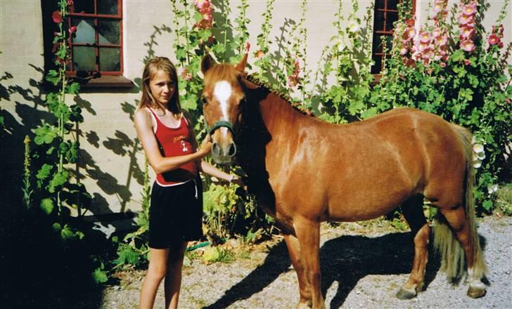 Welsh Mountain (sec A) Tøssen R.I.P - mig og tøssen i år 2005 ;) billede 2