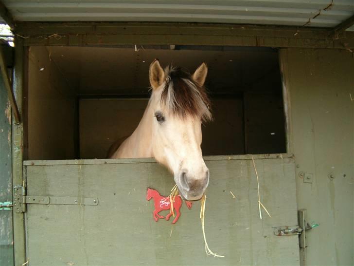 Anden særlig race Freja <3 - Fordi jeg længtes efter at se dig! billede 13