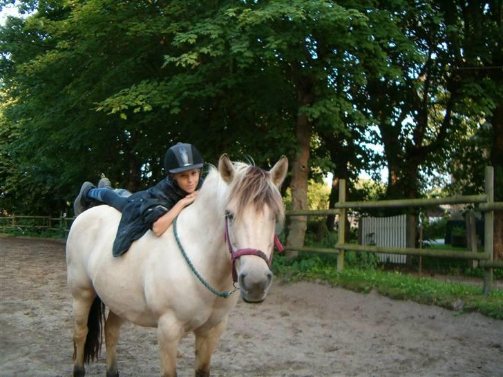 Anden særlig race Freja <3 - Fordi jeg stoler blindt på dig! :) billede 14