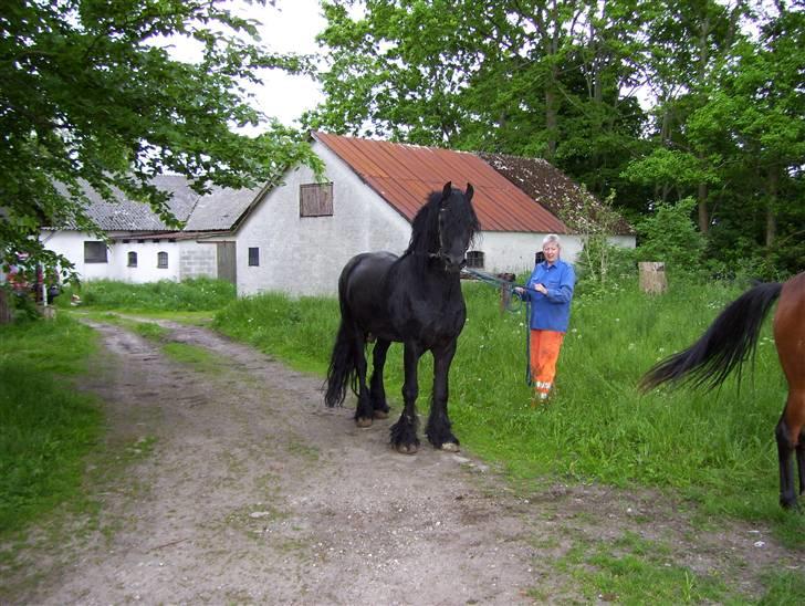 Anden særlig race Ginger (måske) - Far. billede 14