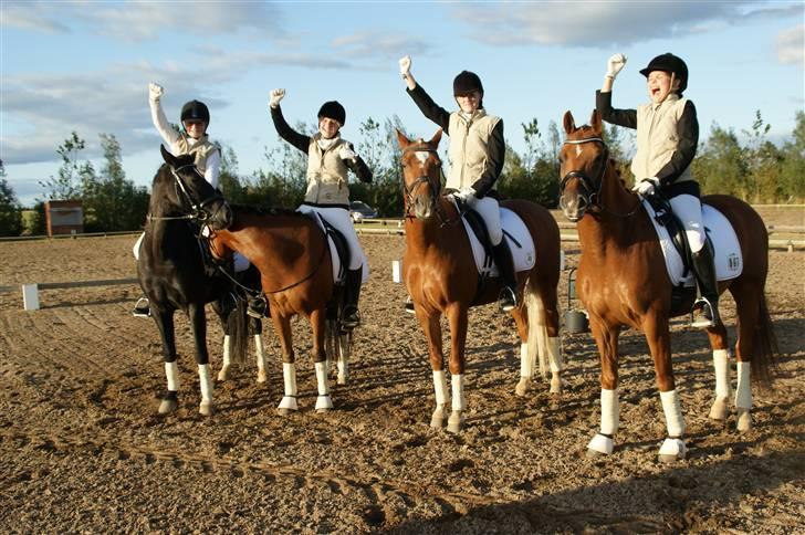 Tysk Sportspony ¤Mennecy - A-Pony<3  - Jeg elsker det her billede af os , arkiball og kenzo er kærester , vi blev fotografiret inden præmieoverrekelsen med vores sponsor ting på ;P  billede 18