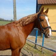 Frederiksborg Atlantis