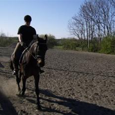 Anden særlig race Picasso [Søsters]