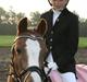 Welsh Pony af Cob-type (sec C) Fanny  (SOLGT)