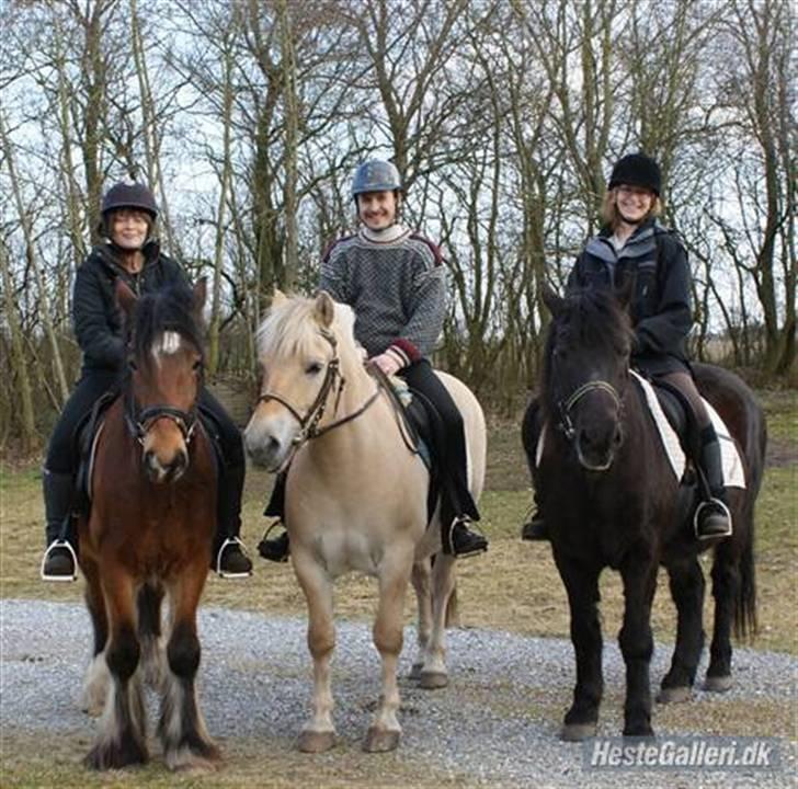 Tinker Jens - Hyggelig ridetur med Nicholai+Sjanti, Ann+Pony og Jens og mig... billede 3