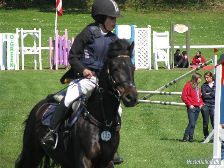 Anden særlig race Westergaard`s Mike-B-Pony - Så er vi ved at være klar til start <3 Foto: Julia tusinde tak <3 billede 7