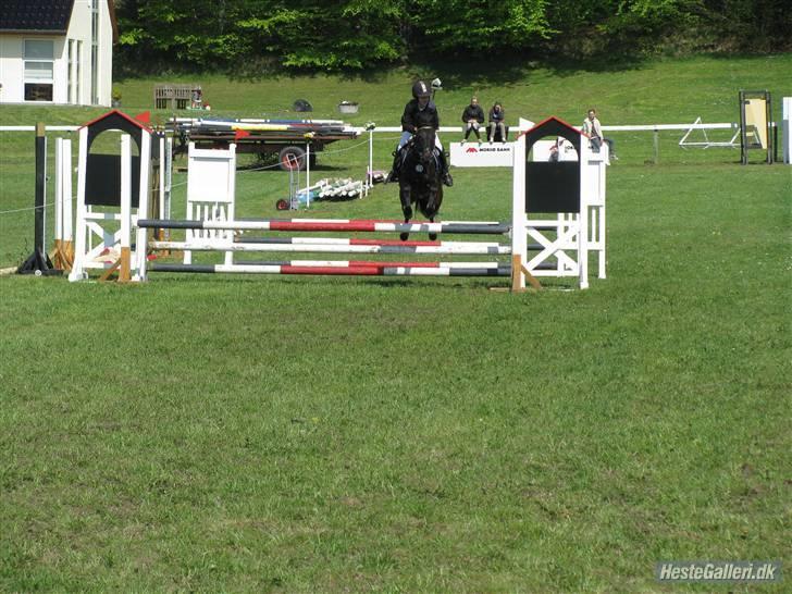 Anden særlig race Westergaard`s Mike-B-Pony - Dobbeltspring <3 Hvor er du dygig Mike <3 (L) Foto: Julia tusinde tak <3 billede 9